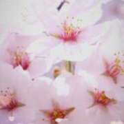 ヒメ日記 2026/04/06 11:56 投稿 双葉 MCロイヤル