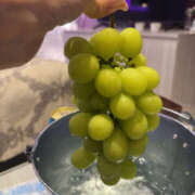 ヒメ日記 2025/06/04 21:31 投稿 美玲　まりあ 柏OL委員会