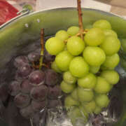 美玲　まりあ 11月🍁 柏OL委員会