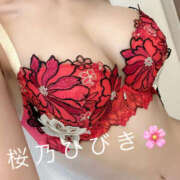 ヒメ日記 2025/03/23 18:20 投稿 桜乃　ひびき 柏OL委員会