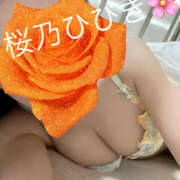 ヒメ日記 2025/08/26 09:01 投稿 桜乃　ひびき 柏OL委員会