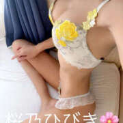 ヒメ日記 2025/12/20 14:20 投稿 桜乃　ひびき 柏OL委員会