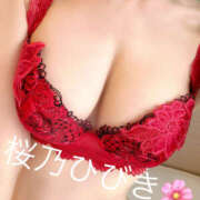 桜乃　ひびき 御礼🌸🩷🌸 柏OL委員会