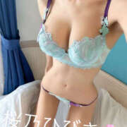 ヒメ日記 2026/03/20 11:10 投稿 桜乃　ひびき 柏OL委員会