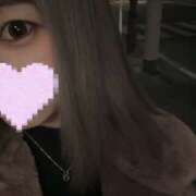 ヒメ日記 2025/03/14 19:50 投稿 滝沢　せりか 柏OL委員会