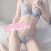 ヒメ日記 2025/05/14 15:31 投稿 滝沢　せりか 柏OL委員会