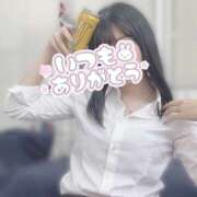 ヒメ日記 2025/07/11 00:20 投稿 滝沢　せりか 柏OL委員会