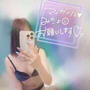 ヒメ日記 2026/02/18 11:20 投稿 未空　つぐ 柏OL委員会