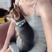 ヒメ日記 2025/08/01 09:20 投稿 雪野　れんか 柏OL委員会