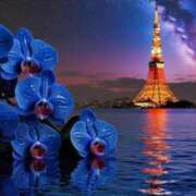 ヒメ日記 2025/07/08 07:10 投稿 天堂　りさ 柏OL委員会