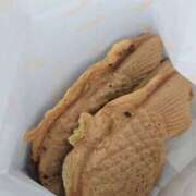 ヒメ日記 2024/12/28 15:10 投稿 吉高　りこ 柏OL委員会