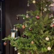 ヒメ日記 2024/12/26 14:37 投稿 まり 大奥 梅田店