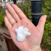 ヒメ日記 2025/09/25 13:25 投稿 あやめ ビデオDEはんど 名古屋校