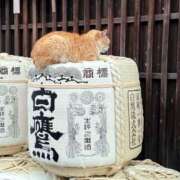 ヒメ日記 2025/08/01 19:53 投稿 おとは GODZUMA（ゴッヅマ）