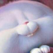 ヒメ日記 2026/01/24 09:18 投稿 まつり 熟女の風俗最終章 高崎店