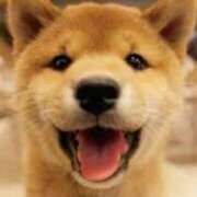 ヒメ日記 2025/11/11 11:20 投稿 もえ デリトップ