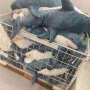 ヒメ日記 2025/03/16 15:35 投稿 あかね はちみつ