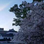 ヒメ日記 2026/04/09 16:09 投稿 難波知恵 五十路マダム 博多店