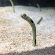 ヒメ日記 2025/04/08 08:49 投稿 いろ 恋愛生欲情の扉