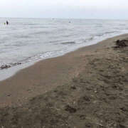 ヒメ日記 2025/04/15 15:49 投稿 いろ 恋愛生欲情の扉