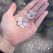 ヒメ日記 2025/04/09 07:12 投稿 ALICE/ありす　centu STYLISH BACH