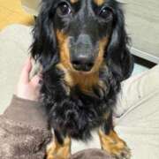 ヒメ日記 2025/04/09 08:23 投稿 ALICE/ありす　centu STYLISH BACH