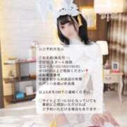 ヒメ日記 2025/08/06 14:12 投稿 ALICE/ありす　centu STYLISH BACH