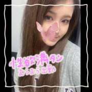 ヒメ日記 2024/12/14 07:18 投稿 セレン 若葉