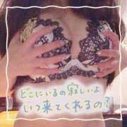 ヒメ日記 2024/12/14 10:25 投稿 セレン 若葉