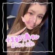 ヒメ日記 2024/12/17 07:16 投稿 セレン 若葉