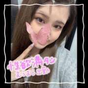 ヒメ日記 2024/12/19 07:45 投稿 セレン 若葉