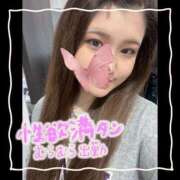 ヒメ日記 2024/12/28 07:18 投稿 セレン 若葉