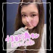 ヒメ日記 2024/12/29 07:18 投稿 セレン 若葉