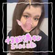 ヒメ日記 2024/12/30 07:20 投稿 セレン 若葉