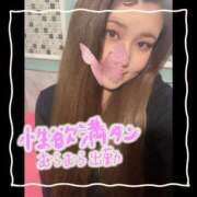 ヒメ日記 2025/01/23 07:21 投稿 セレン 若葉