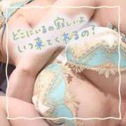 ヒメ日記 2025/02/14 13:45 投稿 セレン 若葉