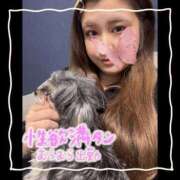 ヒメ日記 2025/03/07 16:15 投稿 セレン 若葉