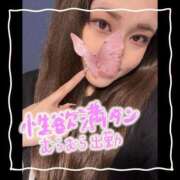 ヒメ日記 2025/03/08 16:17 投稿 セレン 若葉