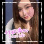 ヒメ日記 2025/03/15 06:15 投稿 セレン 若葉