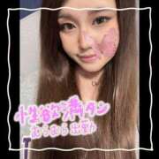 ヒメ日記 2025/05/08 16:06 投稿 セレン 若葉