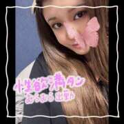 ヒメ日記 2025/05/21 07:15 投稿 セレン 若葉