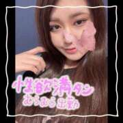 ヒメ日記 2025/05/28 16:45 投稿 セレン 若葉