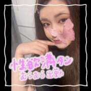 ヒメ日記 2025/06/05 07:16 投稿 セレン 若葉