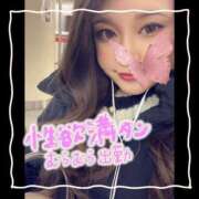 ヒメ日記 2025/06/09 16:18 投稿 セレン 若葉