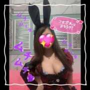 ヒメ日記 2025/06/12 12:55 投稿 セレン 若葉