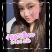 ヒメ日記 2025/06/20 08:15 投稿 セレン 若葉