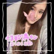 ヒメ日記 2025/06/24 16:08 投稿 セレン 若葉