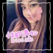 ヒメ日記 2025/06/26 07:44 投稿 セレン 若葉