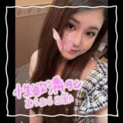 ヒメ日記 2025/06/28 07:16 投稿 セレン 若葉