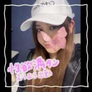 ヒメ日記 2025/07/17 16:16 投稿 セレン 若葉